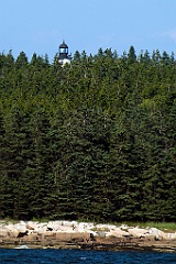 Baker Island Light Engulfed in Trees